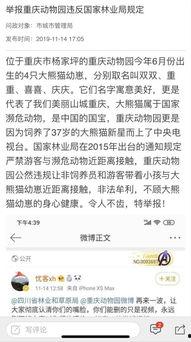 重庆问政最新爆料,揭露背后惊人真相